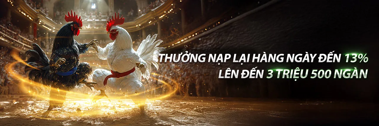 Hình ảnh chính về cá cược thể thao an toàn tại 888vvv Bet