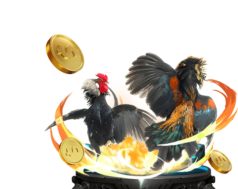 Trò chơi Live Casino trực tiếp với người thật